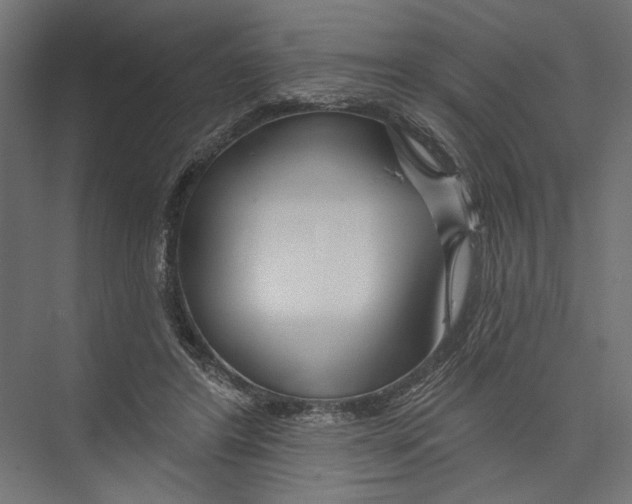 X0000075340404200610061700