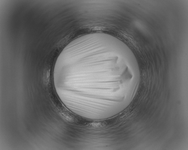 X0000075340406200610061700