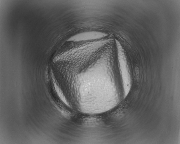 X0000075340408200610061700