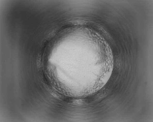 X0000075340411200610061700