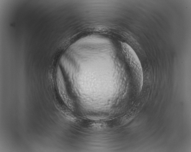 X0000075340415200610061700