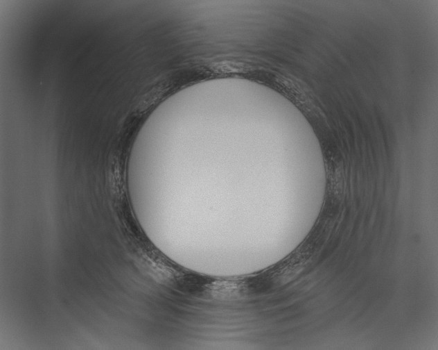 X0000075340418200610061700