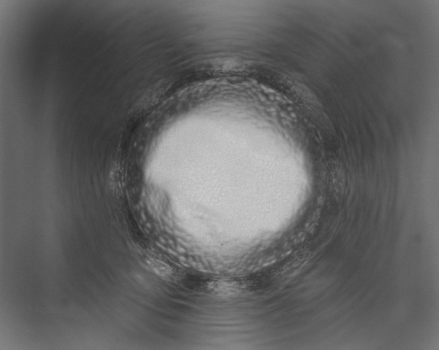 X0000075340419200610061700