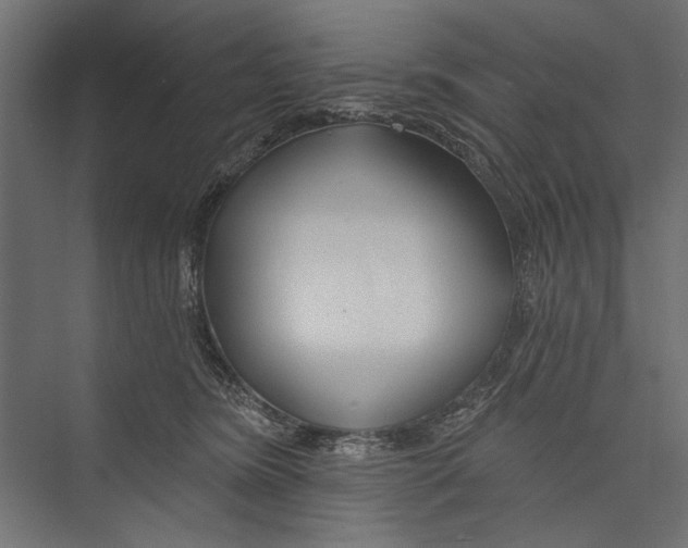 X0000075340420200610061700