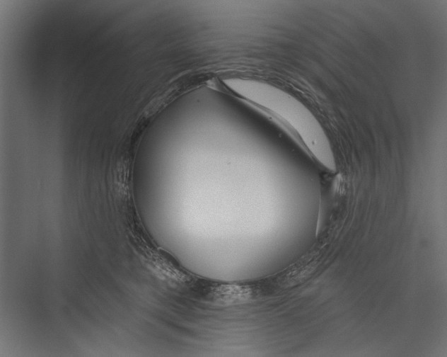 X0000075340421200610061700
