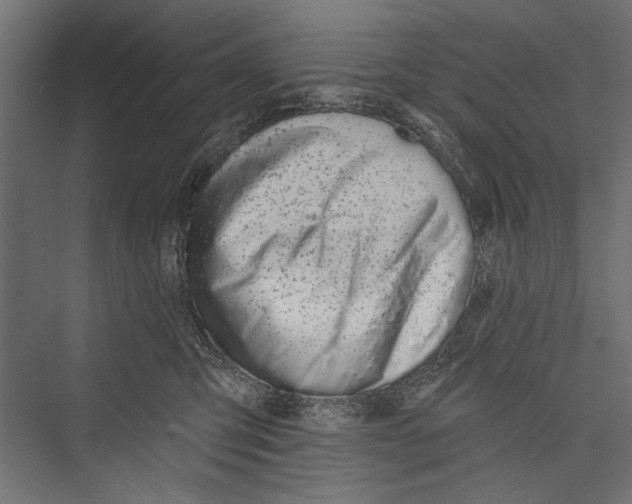 X0000075340423200610061700