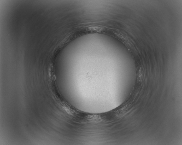 X0000075340424200610061700