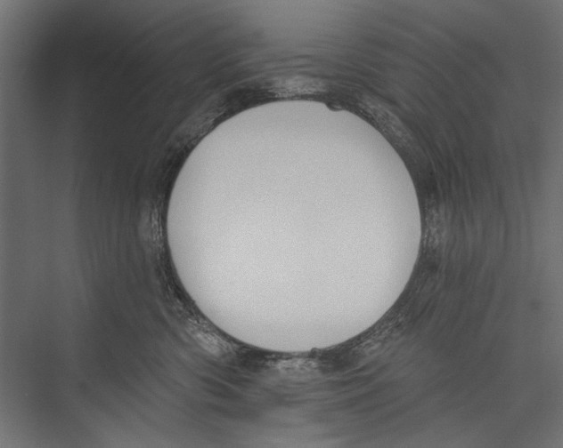 X0000075340426200610061700