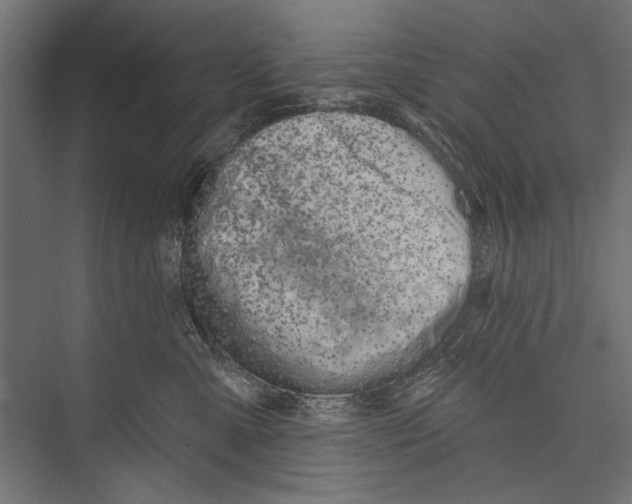 X0000075340427200610061659