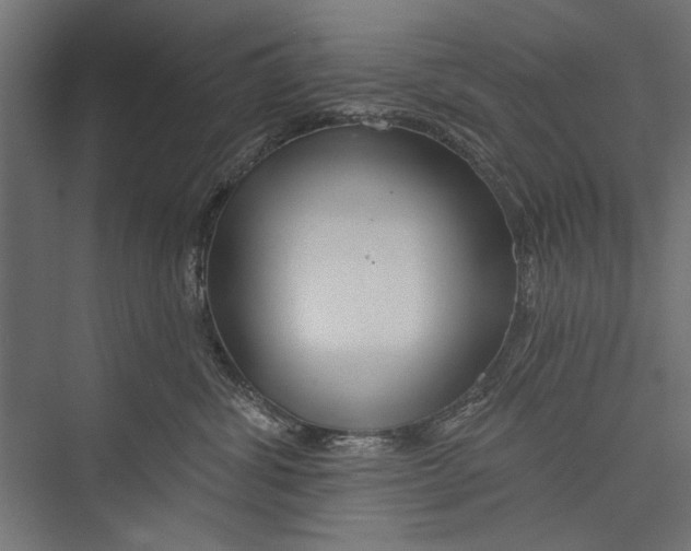 X0000075340428200610061659
