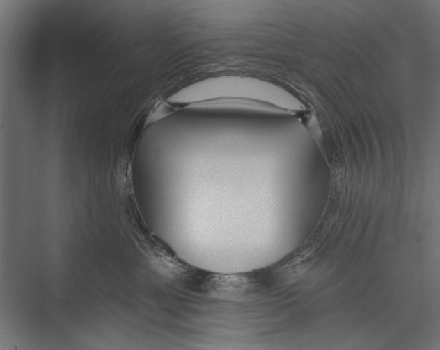 X0000075340429200610061659