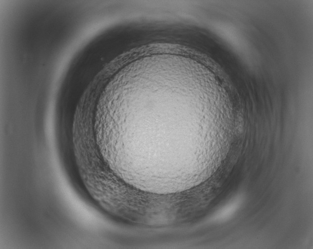 X0000075340431200610061659