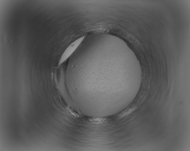 X0000075340432200610061659