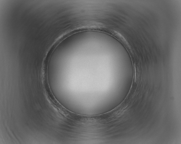 X0000075340435200610061659