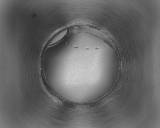 X0000075340438200610061659