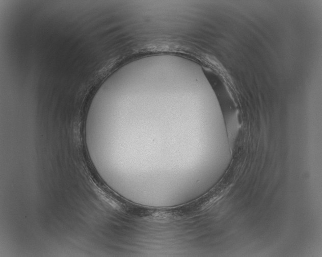 X0000075340441200610061659