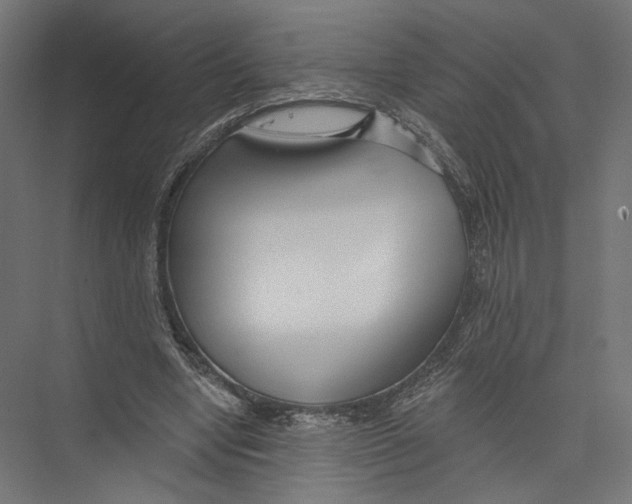 X0000075340442200610061659