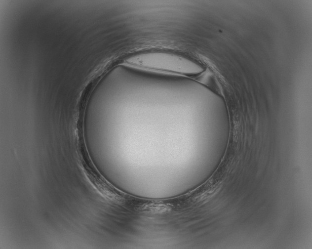 X0000075340443200610061659