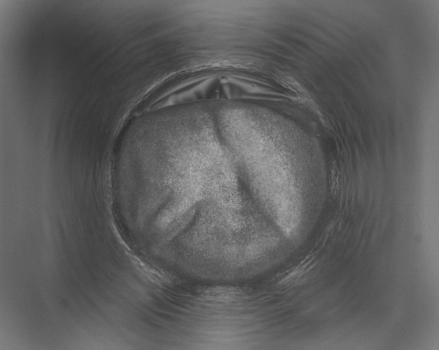 X0000075340444200610061659