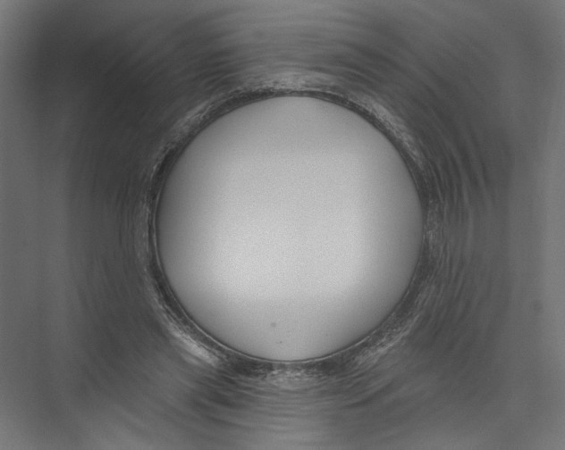 X0000075340445200610061659