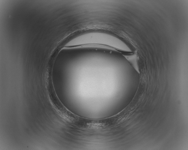 X0000075340448200610061659