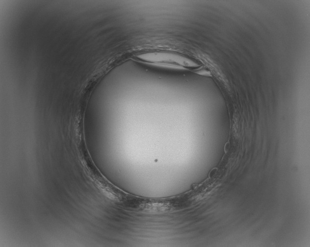 X0000075340449200610061659