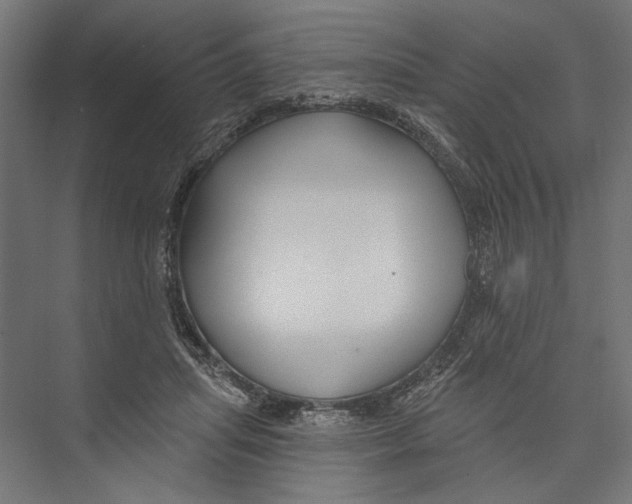 X0000075340455200610061659