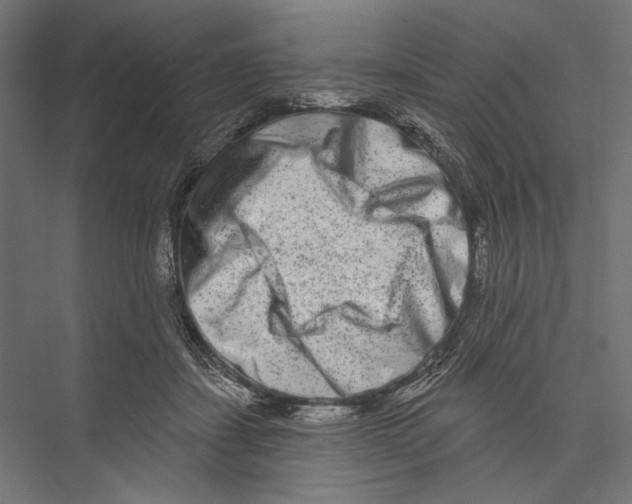X0000075340459200610061659
