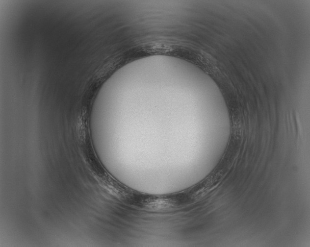X0000075340460200610061659