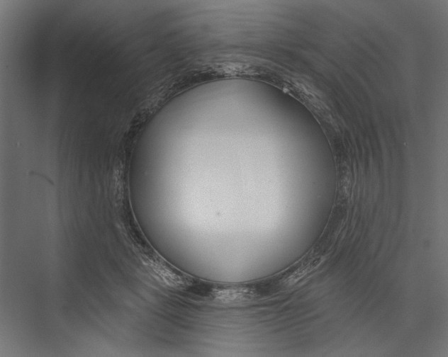 X0000075340461200610061659