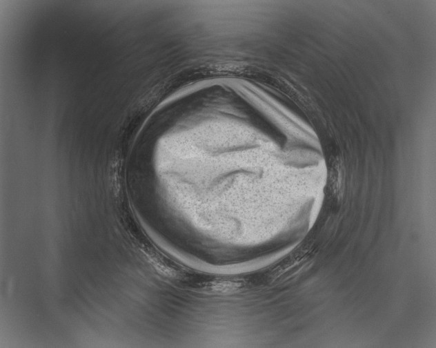 X0000075340462200610061659