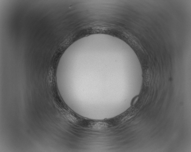 X0000075340463200610061659