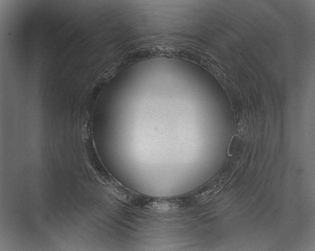 X0000075340464200610061659