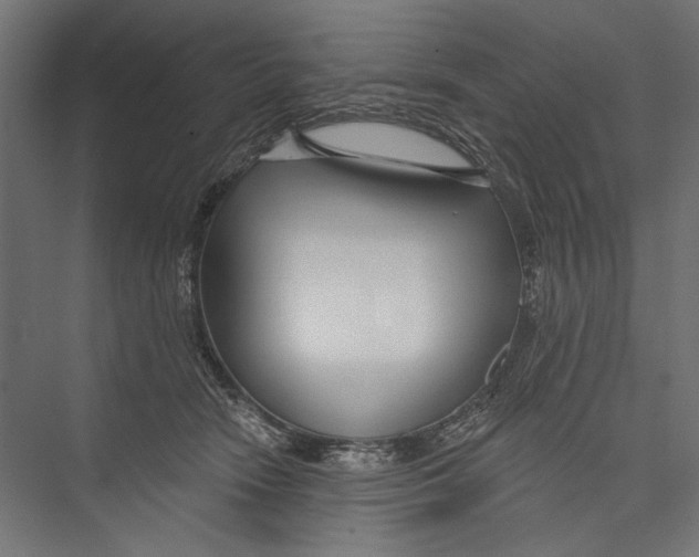 X0000075340466200610061659