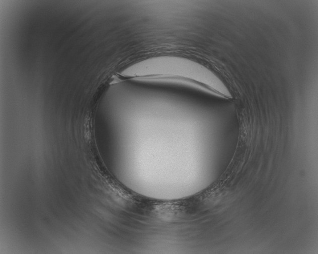 X0000075340470200610061659