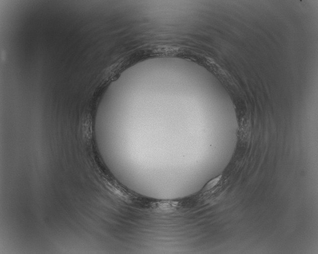 X0000075340474200610061659