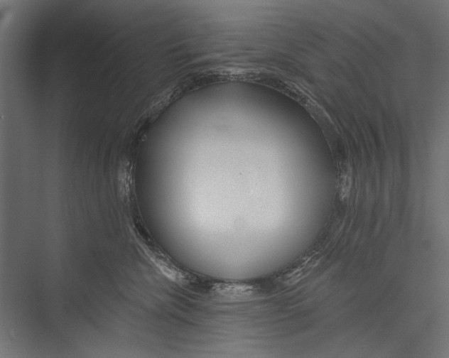 X0000075340476200610061659