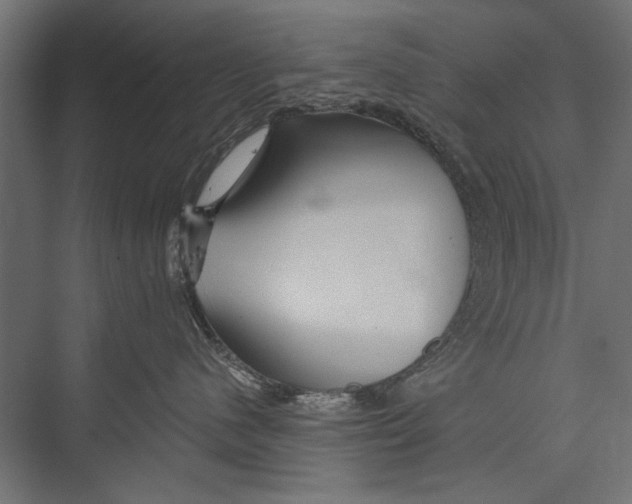 X0000075340480200610061659