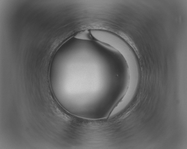 X0000075340481200610061659