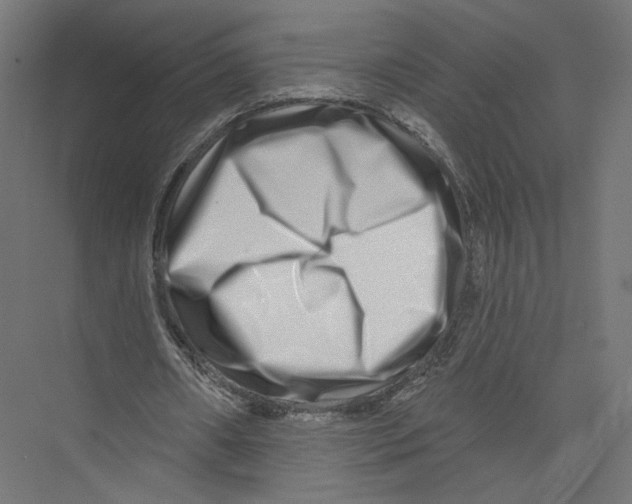 X0000075340482200610061659