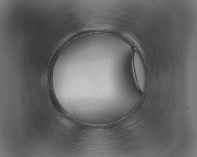 X0000075340483200610061659