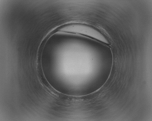 X0000075340484200610061659