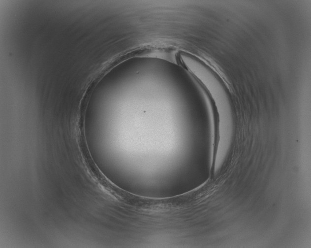 X0000075340485200610061659