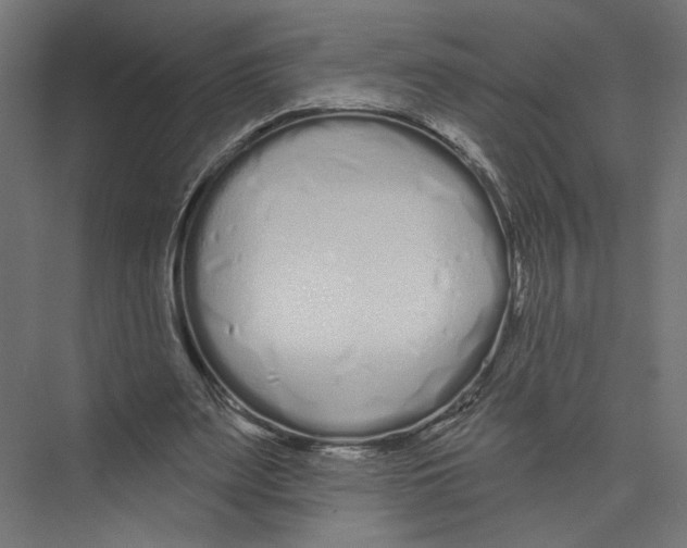 X0000075340487200610061658