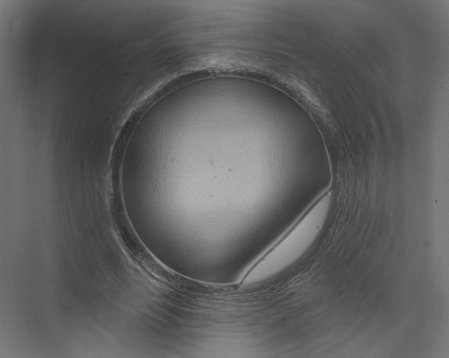 X0000075340488200610061658