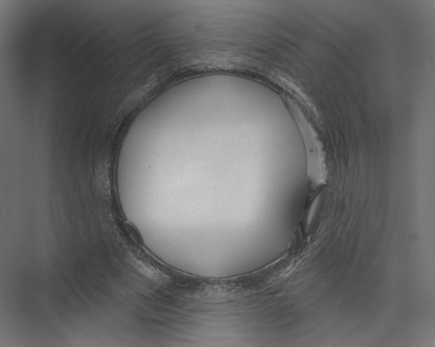 X0000075340489200610061658