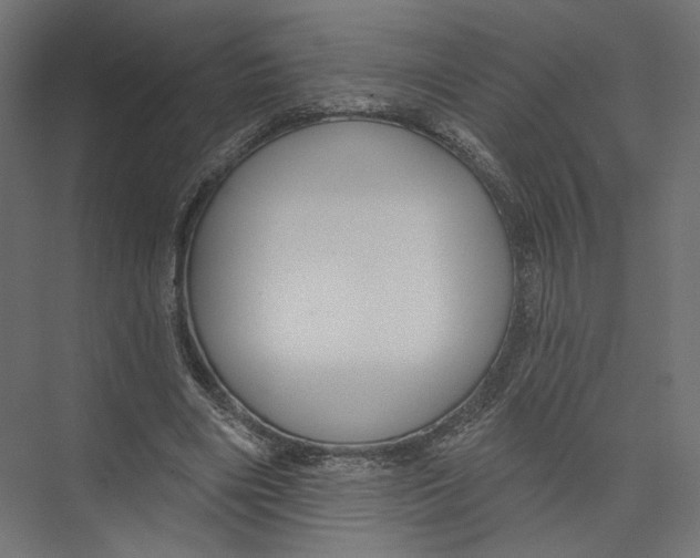 X0000075340490200610061658