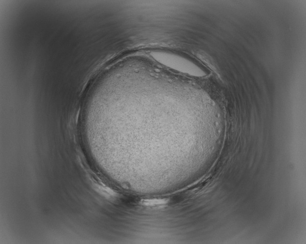 X0000075340491200610061658