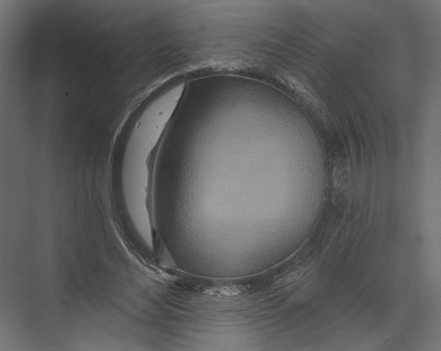 X0000075340492200610061658
