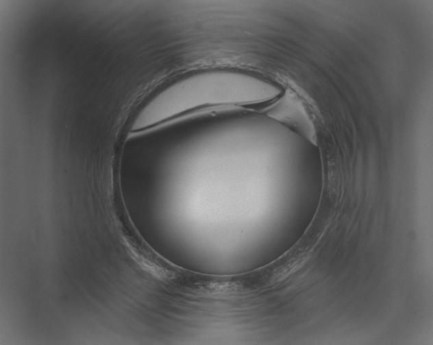 X0000075340493200610061658